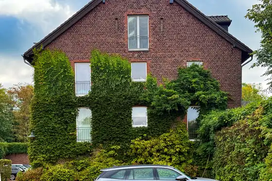 Hauswand Backsteingebäude mit starkem Weinbewuchs vor dem Rückschnitt durch raumgut Immobilien